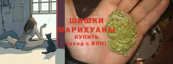 spice Бугульма