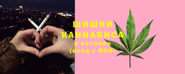дурь Бронницы