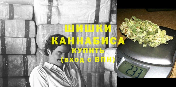 дурь Бронницы
