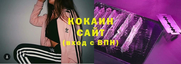 дурь Бронницы